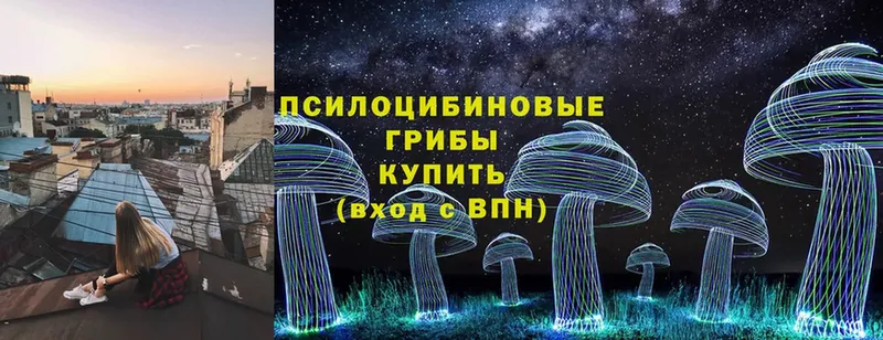 Галлюциногенные грибы Magic Shrooms  купить закладку  Жердевка 