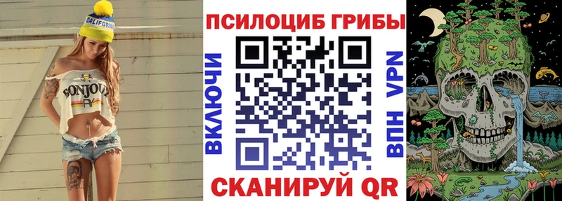 закладки  KRAKEN ТОР  Псилоцибиновые грибы Psilocybe  Жердевка 