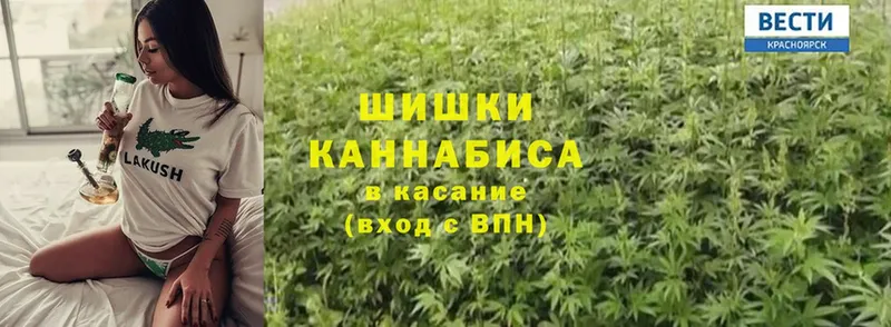 Марихуана SATIVA & INDICA  купить  цена  Жердевка 